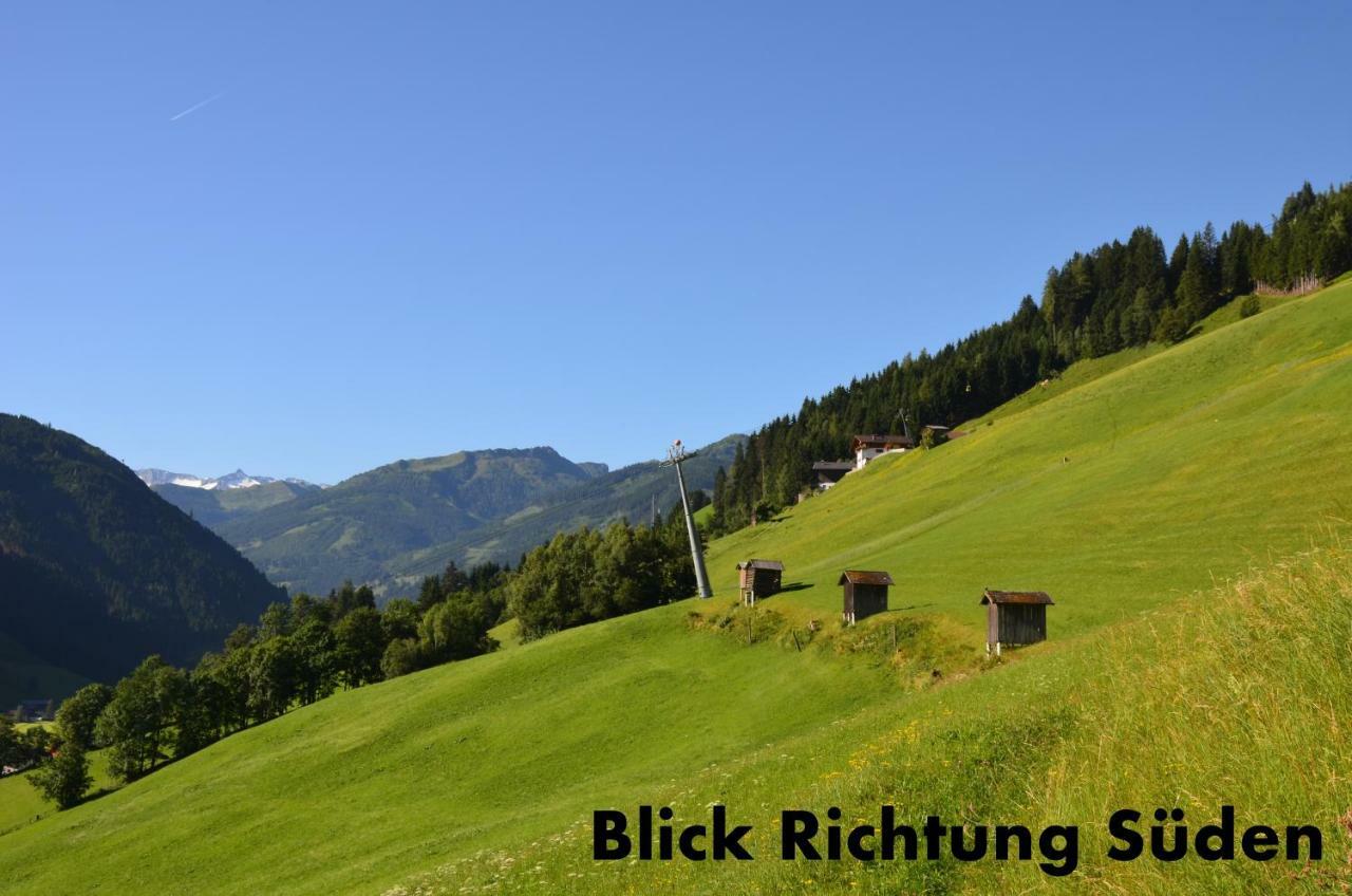 Appartement Alpenstern غروسارل المظهر الخارجي الصورة